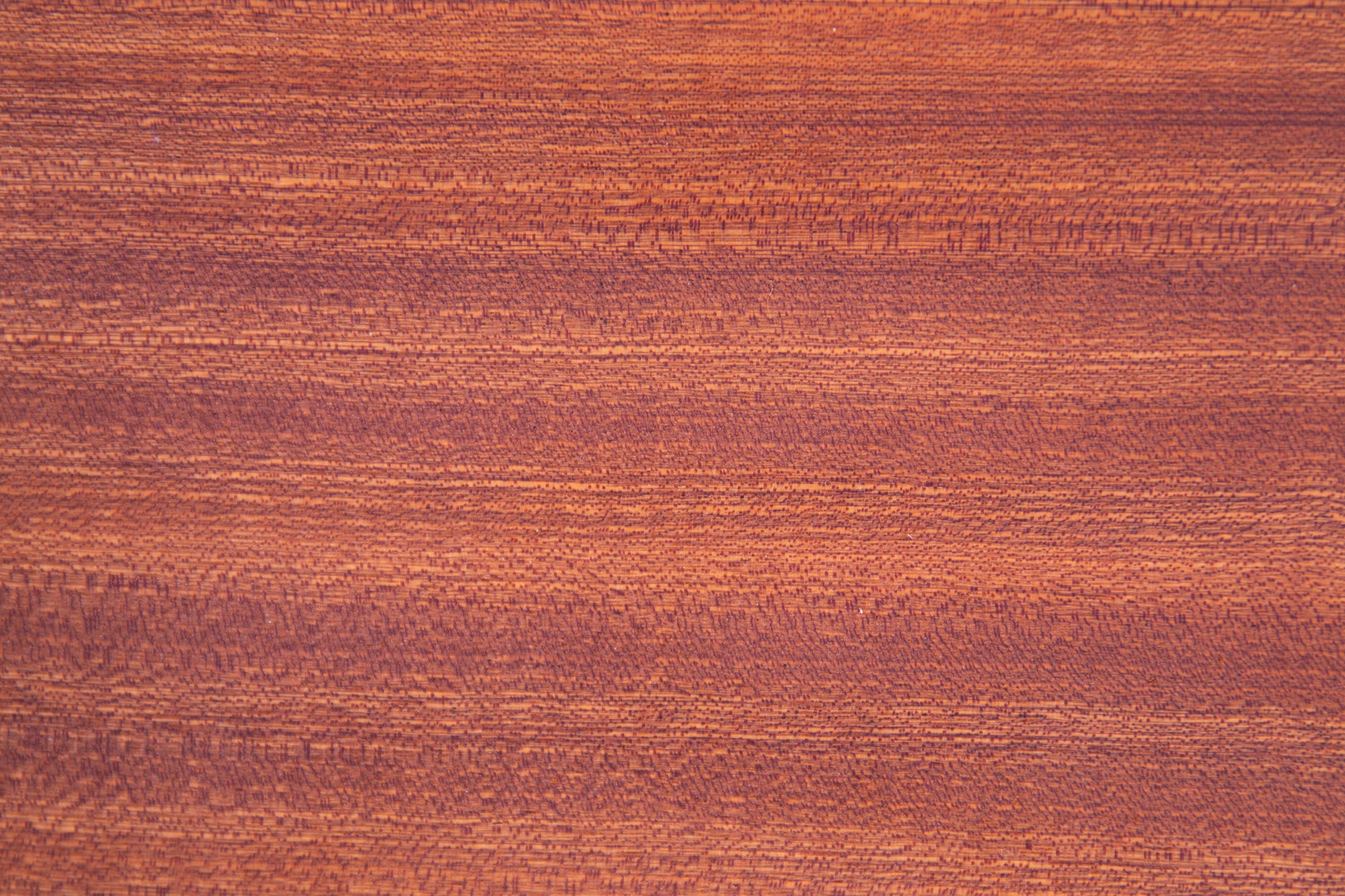 The Divina Four Box Set, Sapele